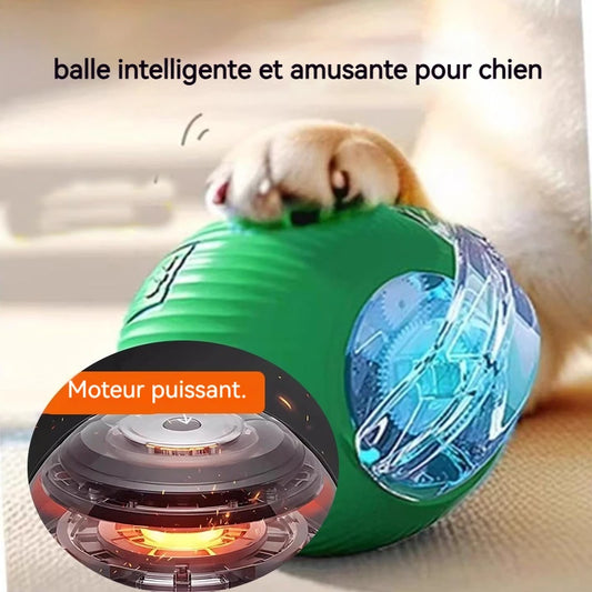 Balle Interactive Automatique - Fini le chien qui détruit tout par ennui 🐕⚽