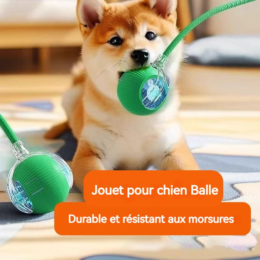 Balle Interactive Automatique - Fini le chien qui détruit tout par ennui 🐕⚽